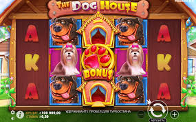 더도그하우스 완벽한 반려동물과 함께하는 세상 더도그하우스 완벽한 반려동물과 함께하는 세상